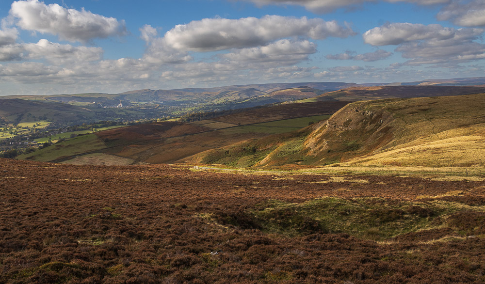 Callow Bank